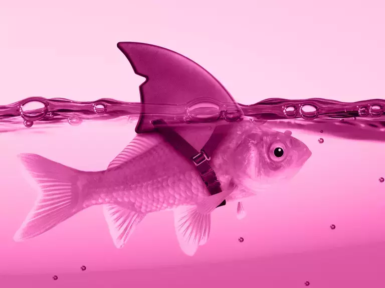 Große Fische